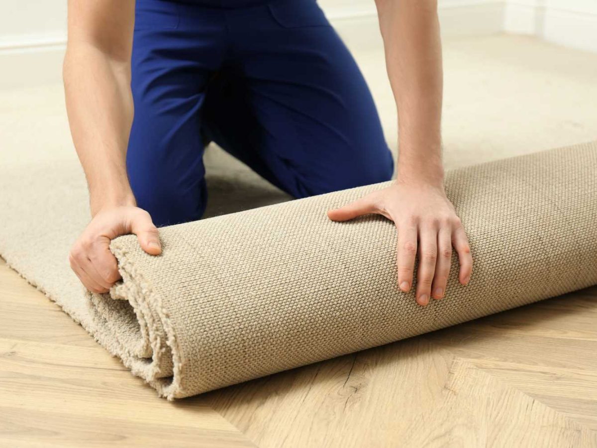 Carpet Care